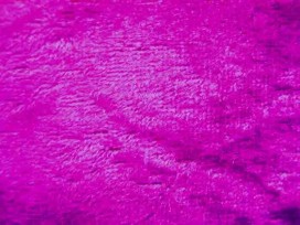 Velours de Panne  Fuchsia  5666-042N