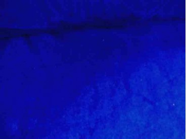 Een koningsblauwe velours die rekt in de breedte. Polyester e.d.  1.50 mtr. breed