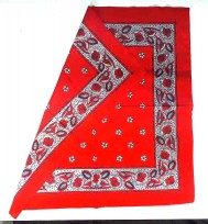 Boerenzakdoek Rood met bloemetjes  BZ4