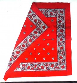 Boerenzakdoek rood met bloemetjes  BZ4