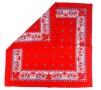 Boerenzakdoek  Rood met Franse lelie  BZ6