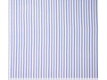 Woven vi Stripes  Blue and white