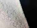 Suede/Teddy  Zwart/wit  02