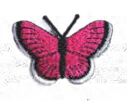 Een opstrijkbare vlinder applicatie van 5 x 3.5 cm. Pink