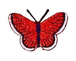 Vlinder applicatie Rood glitter 5cm  30576