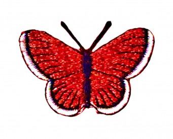 Vlinder applicatie, opstrijkbaar  Rood glitter  Ongeveer 5 x 3,5 cm