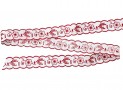 Katoen kant gekleurd Rood/wit met bloem 25mm