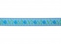 Lichtaqua kleurig sierband met een aqua bloem en een blauw randje  Ongeveer 19 mm breed