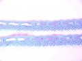 Gekleurd kant met satijnlint  Lichtblauw  2cm breed