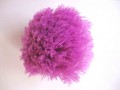 Pom Pom 7 cm. Paars