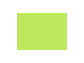 Japon rits 30 cm. lime