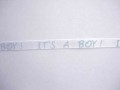 Ribsband wit/lichtblauw It's a Boy! 10mm. 1202-B-06