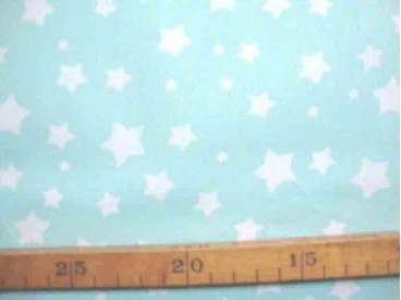 Katoen Nooteboom Ster Mintgroen 9303-22N